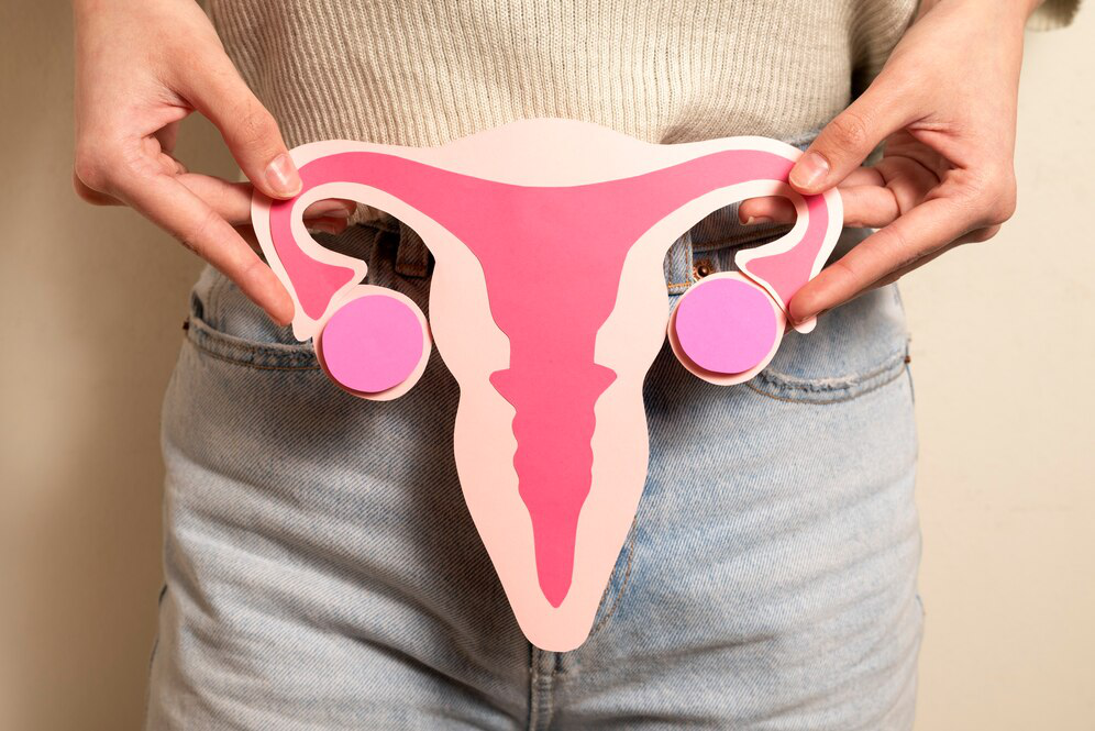 A graphic image cutout in light and dark pink of a uterus and ovaries held by a person in front of where the actual organ would be