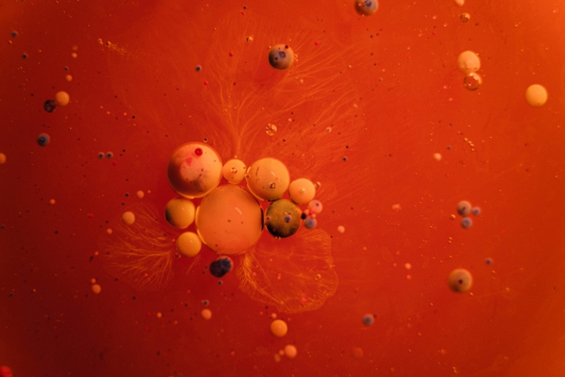 Illustration of fat molecules being converted into cellular energy inside the body