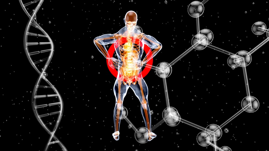 Human silhouette showing energy flow and metabolic activity visualization